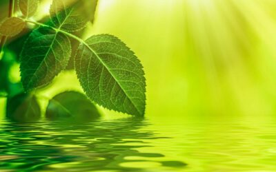 Wasserenthärtung & Klimaschutz: So spart weiches Wasser Energie und CO₂
