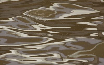 Wenn Brunnen sprechen könnten: Was uns trübes Wasser, Eisen & Co. sagen wollen